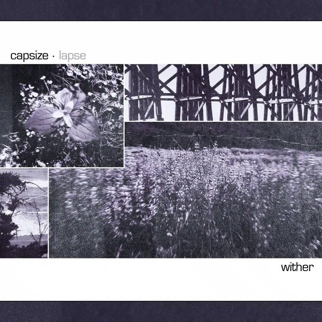 Wither