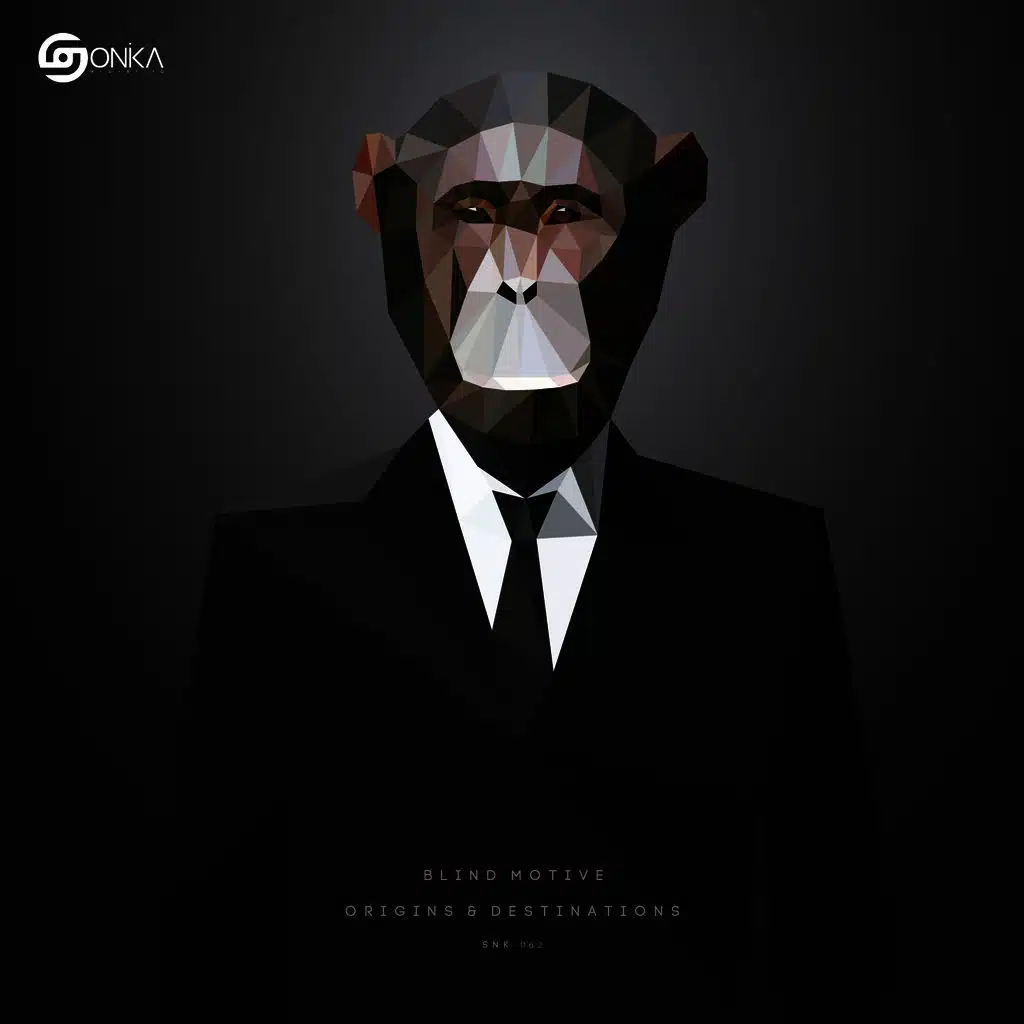 Origins & Destinations