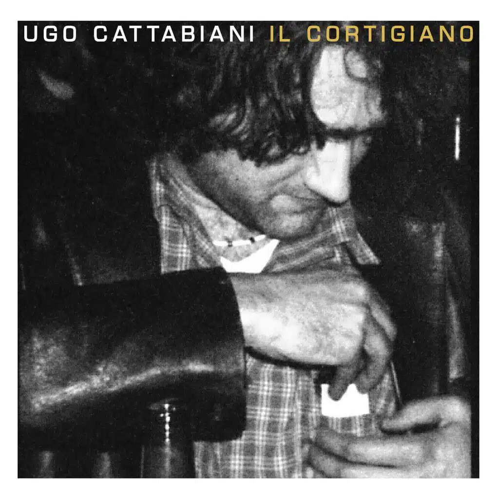 Il cortigiano