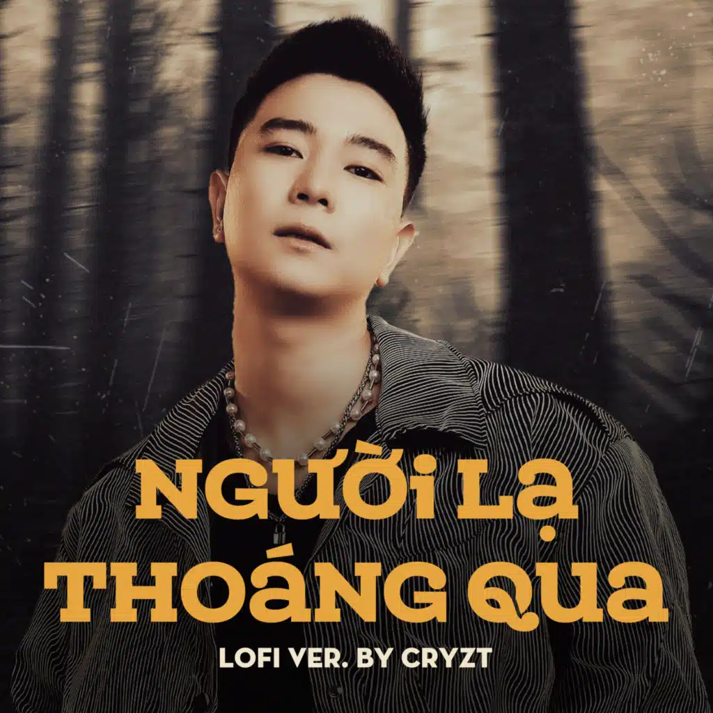 Người Lạ Thoáng Qua (Cryzt Lofi)