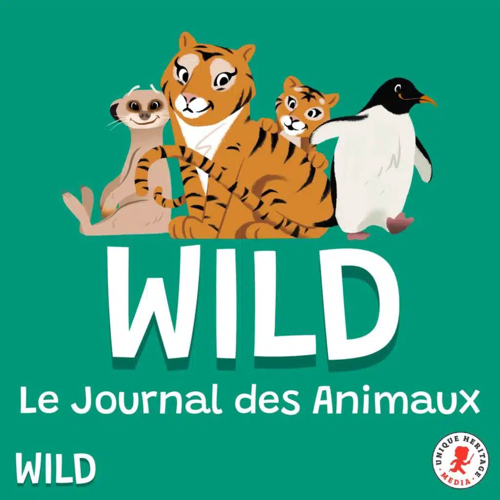 Les corbeaux, prêts à tout pour sauver la planète !