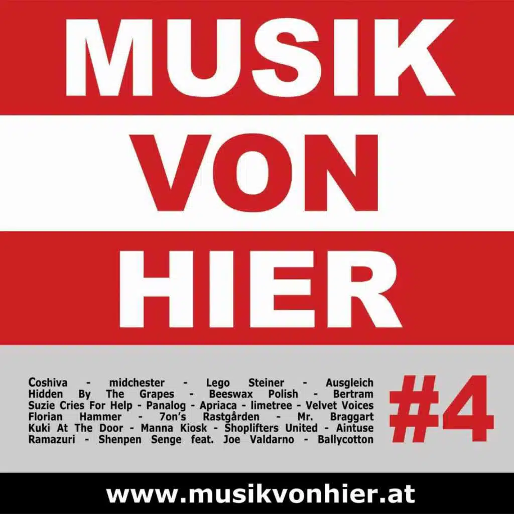 Musik Von Hier Vol. 4 - Austria