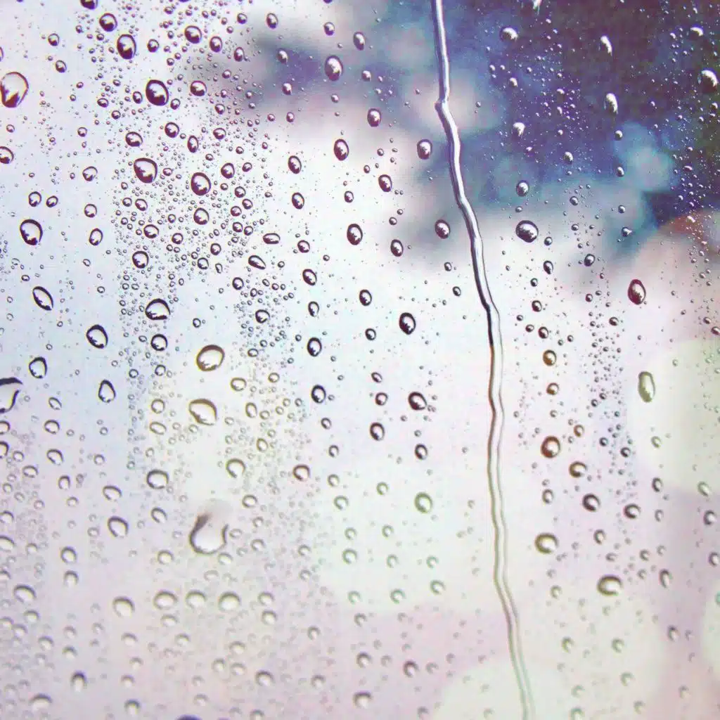 Moncrieff’s Murder Club: Weather Warnings