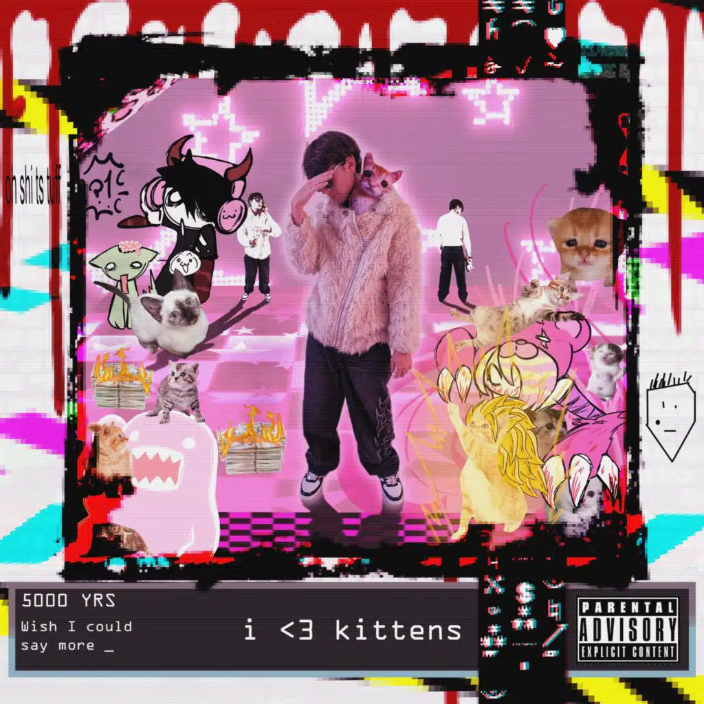 i <3 kittens