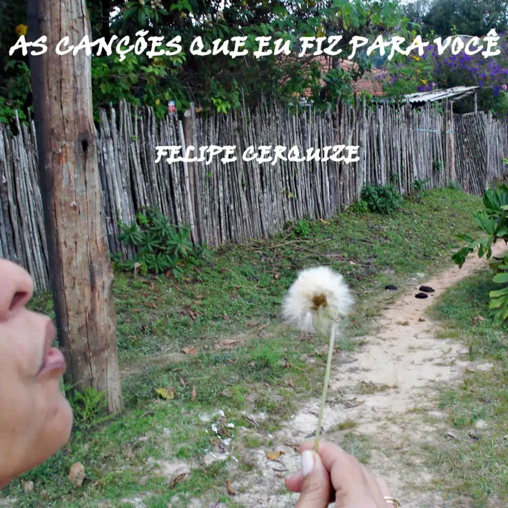 Felipe Cerquize