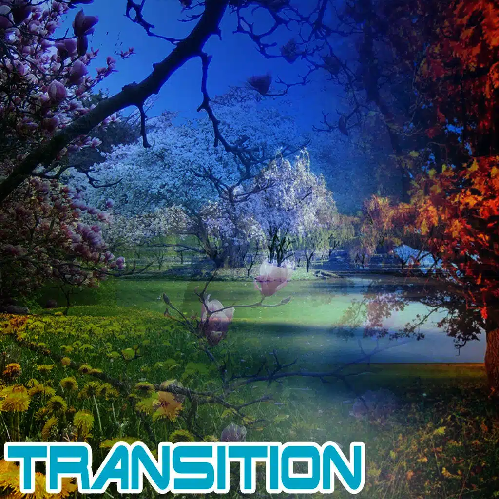 Transition