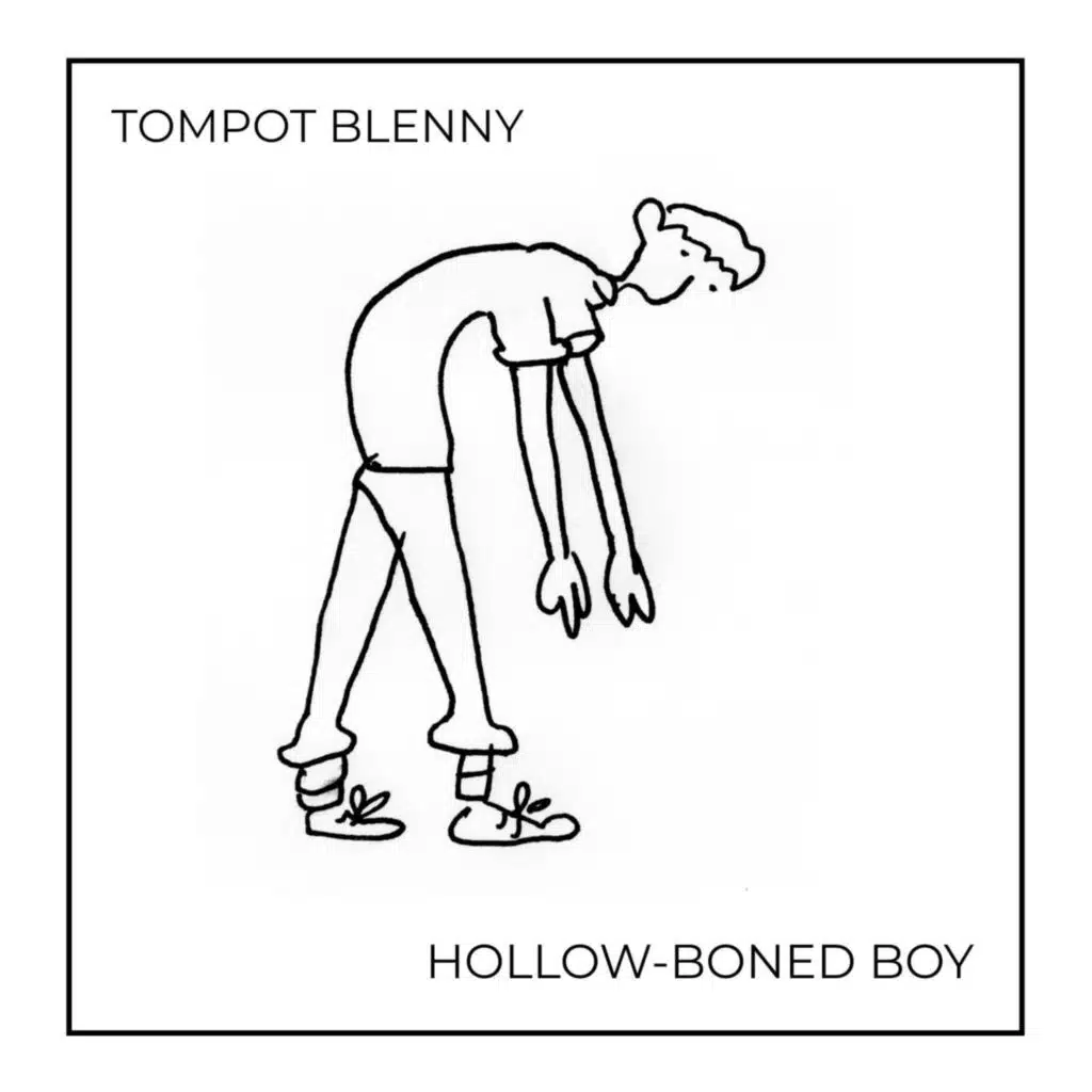 Tompot Blenny