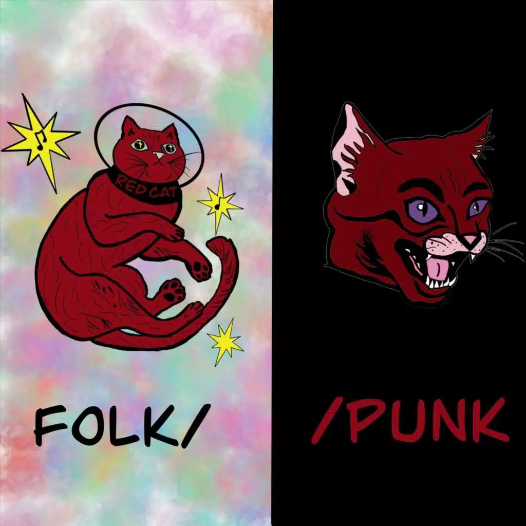 Folk / / Punk