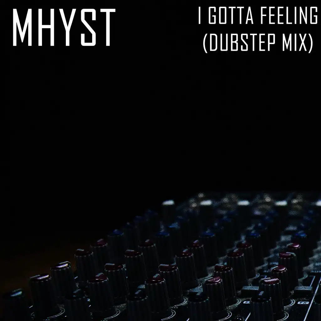 I Gotta Feeling (Dubstep Mix)