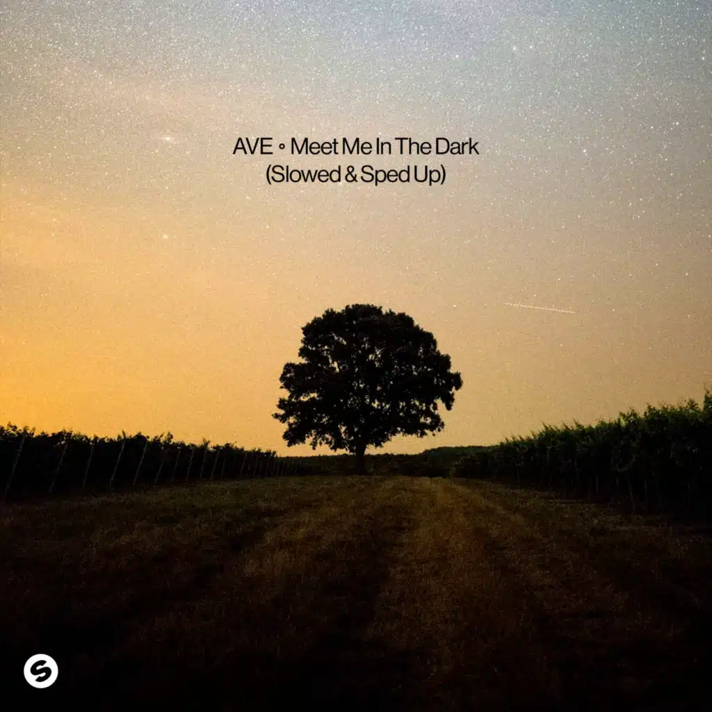 Meet Me In The Dark (Slowed Version)