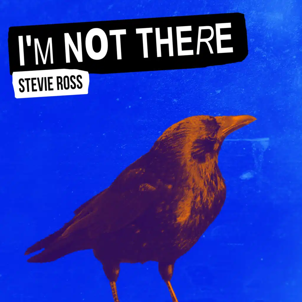 Stevie Ross