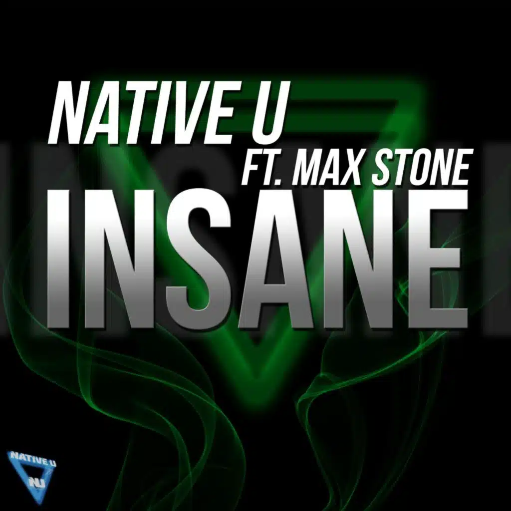 Insane (feat. Max Stone)