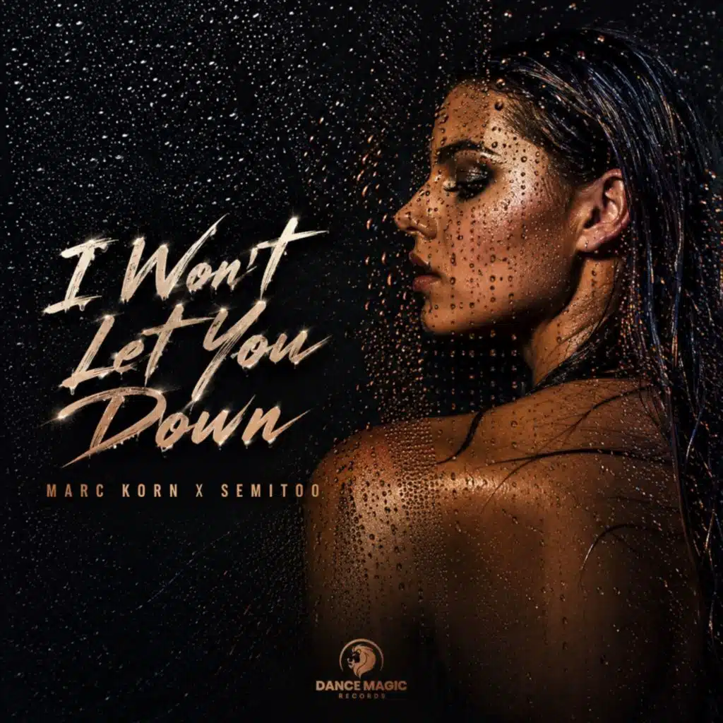 I Won't Let You Down