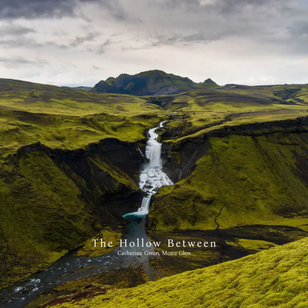 The Hollow Between