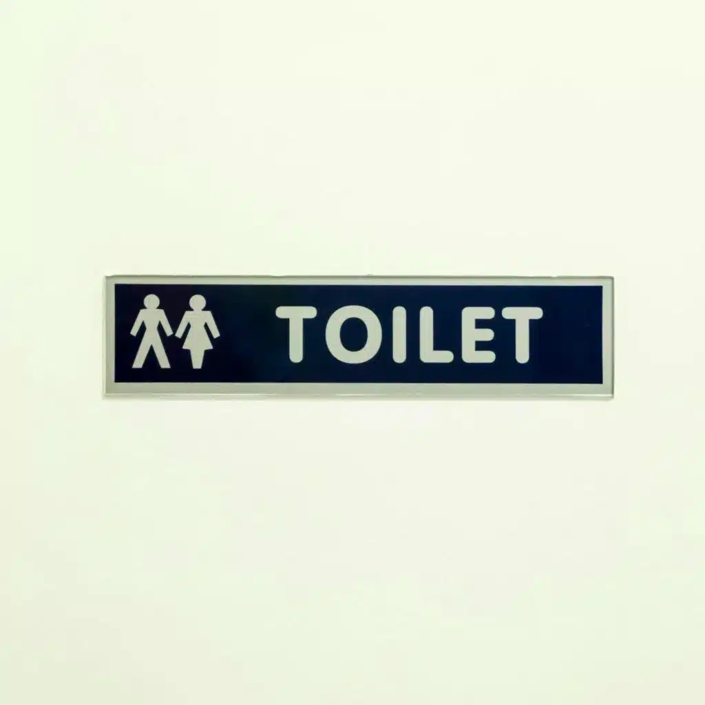 Do we have a cultural public toilet problem?
