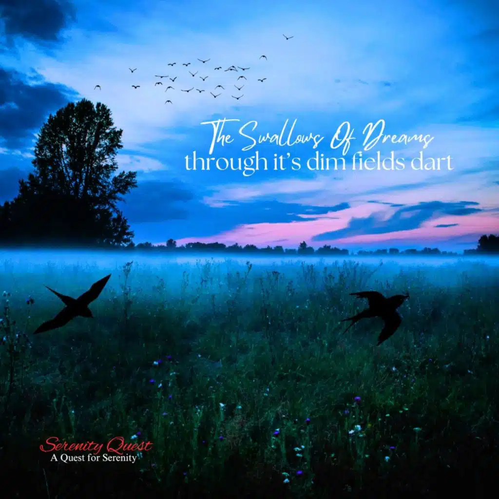 The Swallows Of Dreams Through It’s Dim Fields Dart