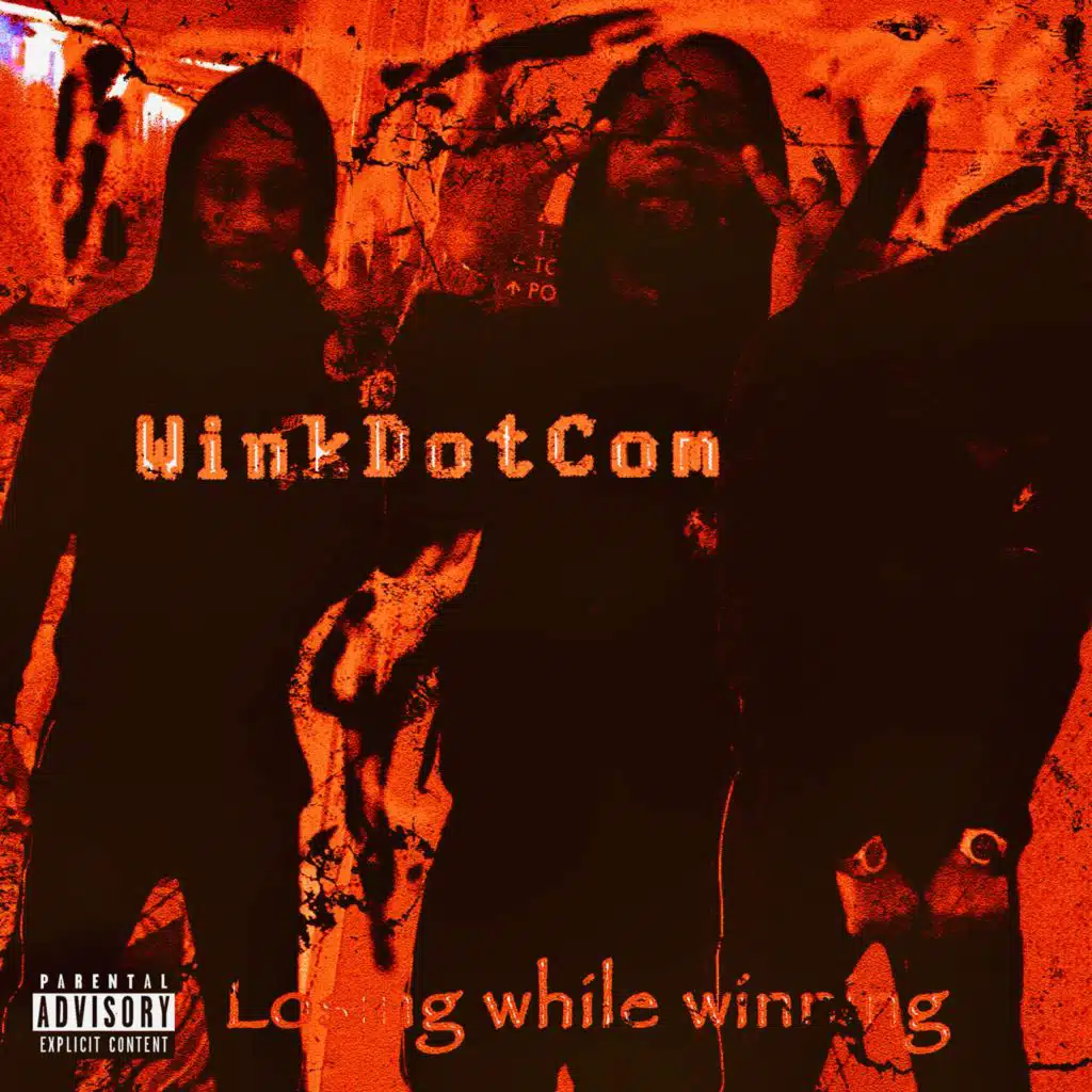 WinkDotCom
