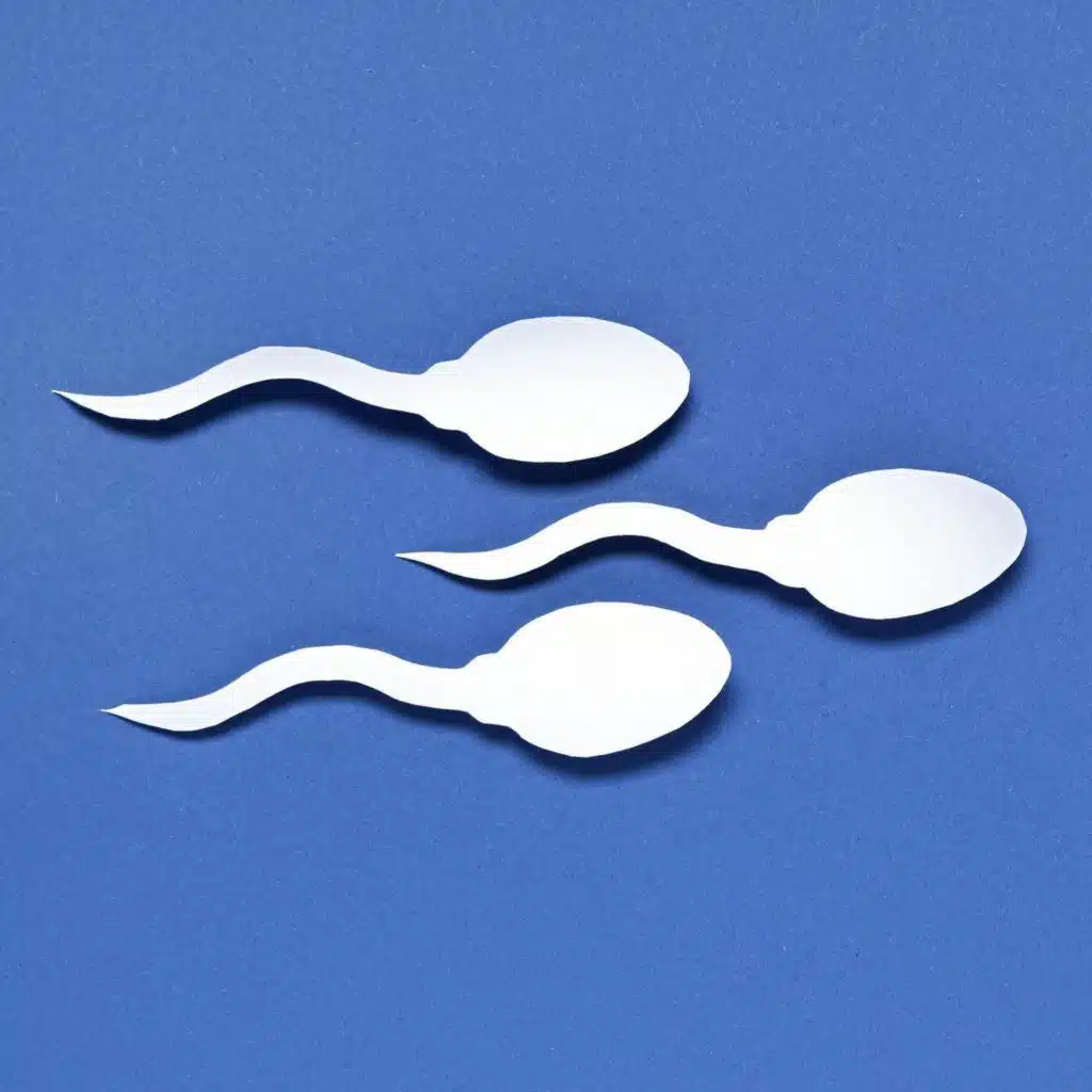 Debunking male infertility misinformation