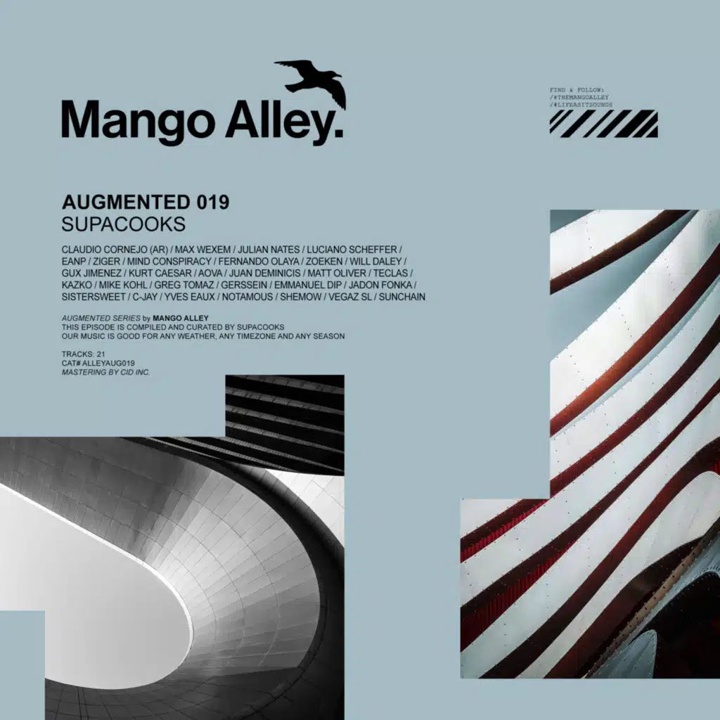 Augmented 019 / Supacooks