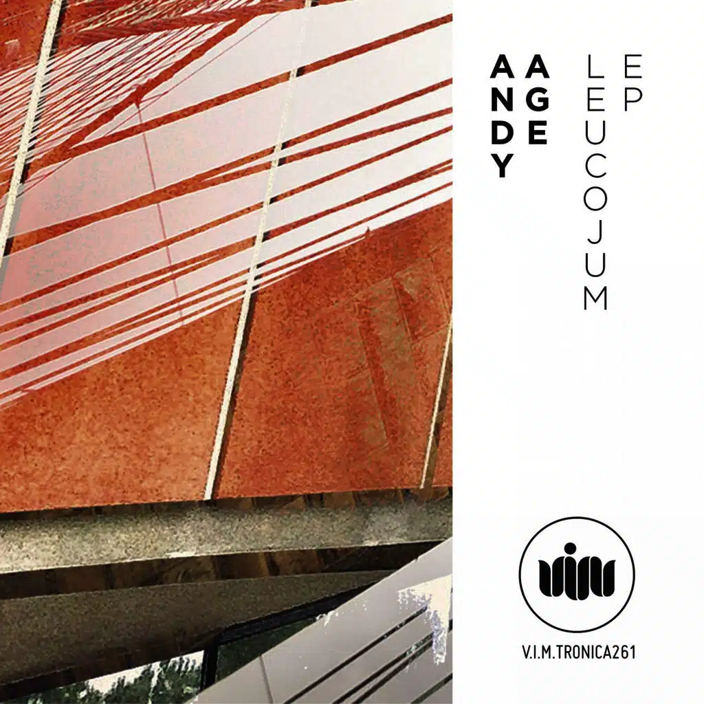 Swoop (Original mix)