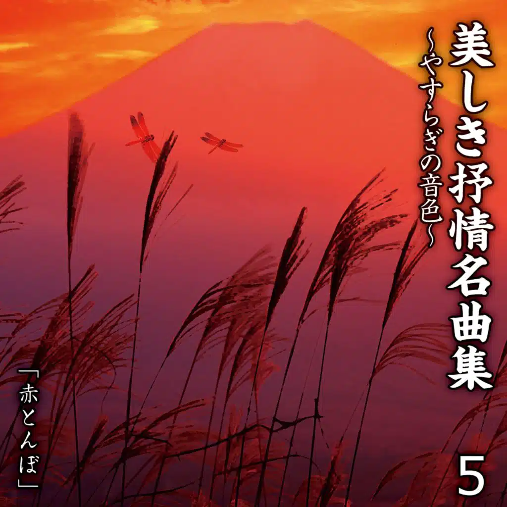 Utsukushiki Jojyomeikyokushu Yasuragi No Neiro 5