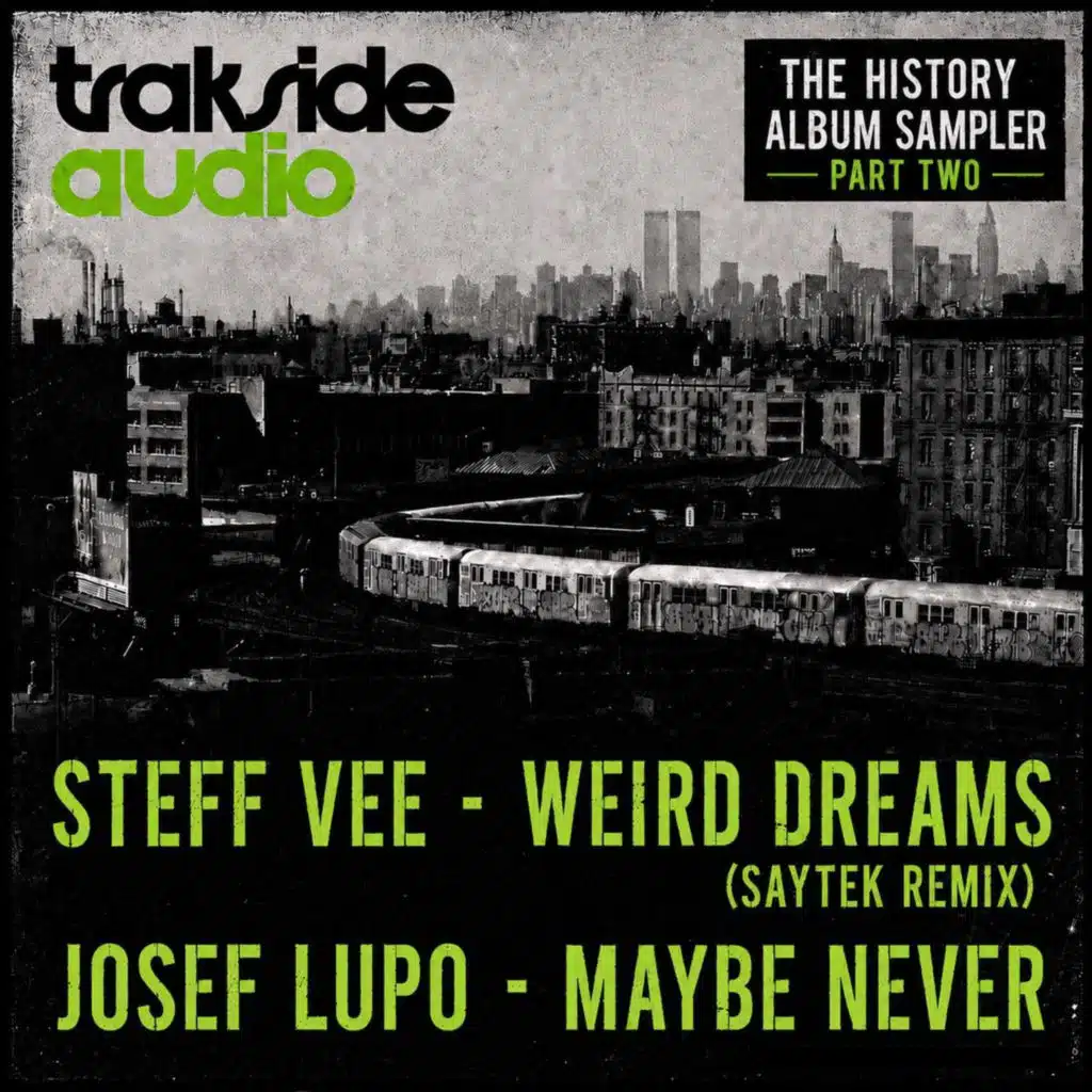 History Album Sampler, Vol. 2