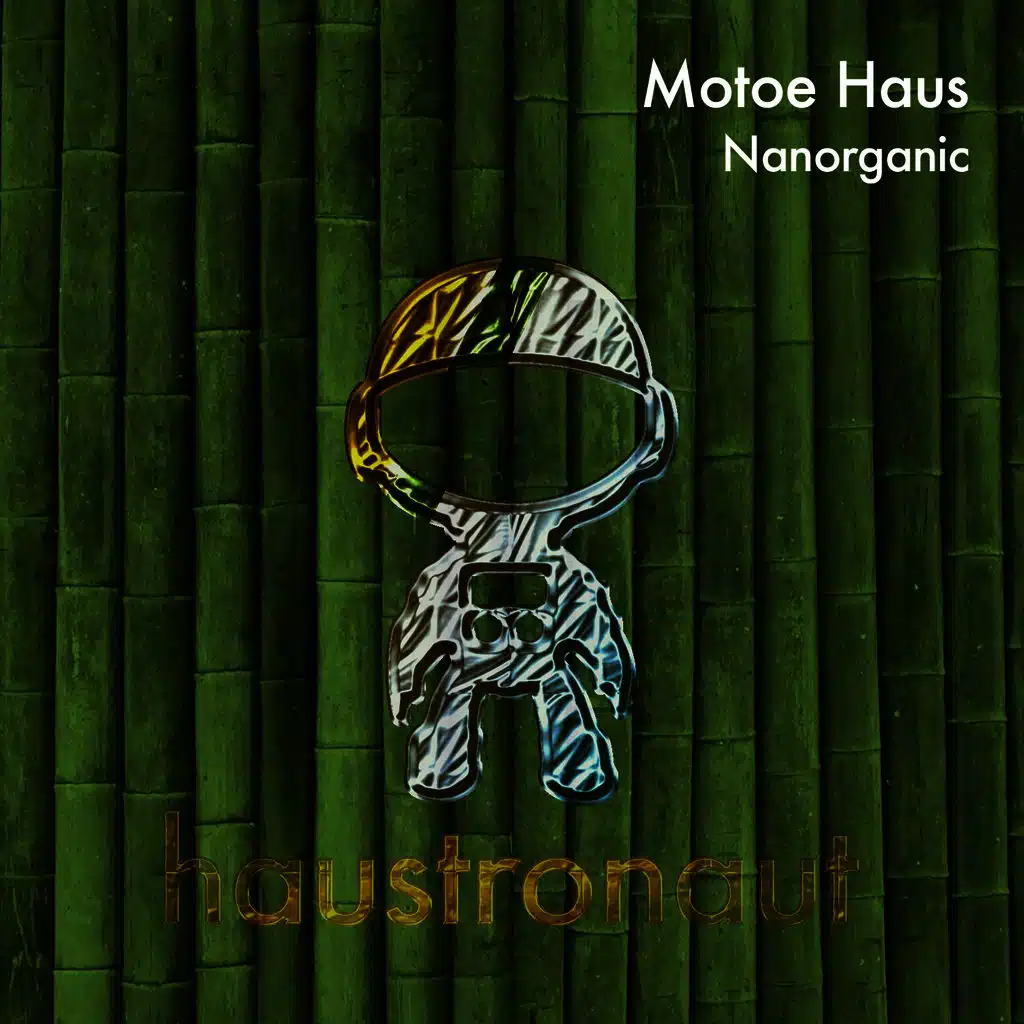 Nanorganic (NLF Remix)