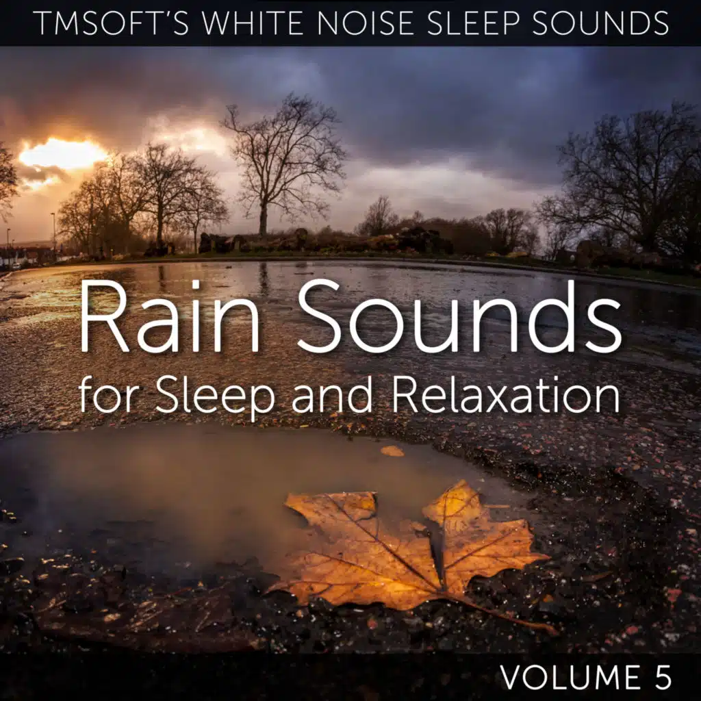 Rain Sounds for Sleep and Relaxation Volume 5