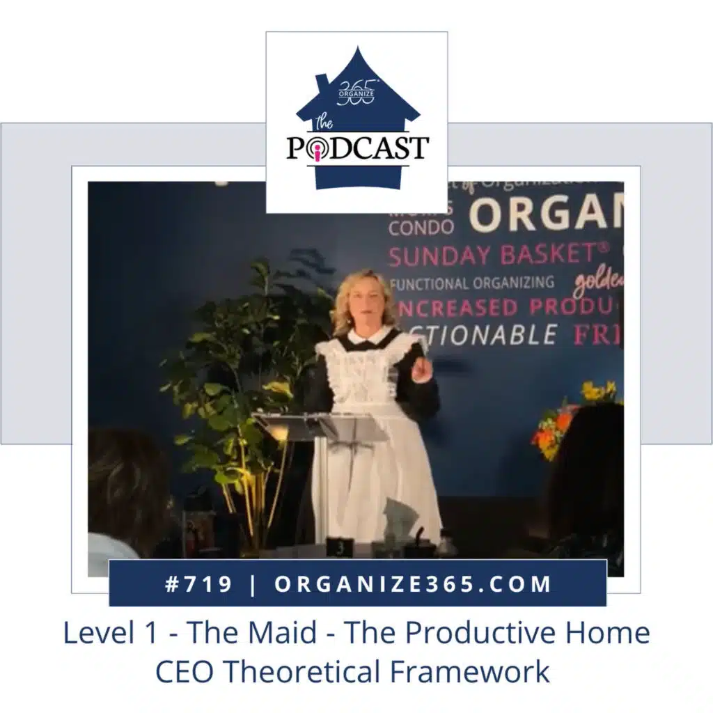 719 - Level 1 - The Maid - The Productive Home CEO Theoretical Framework