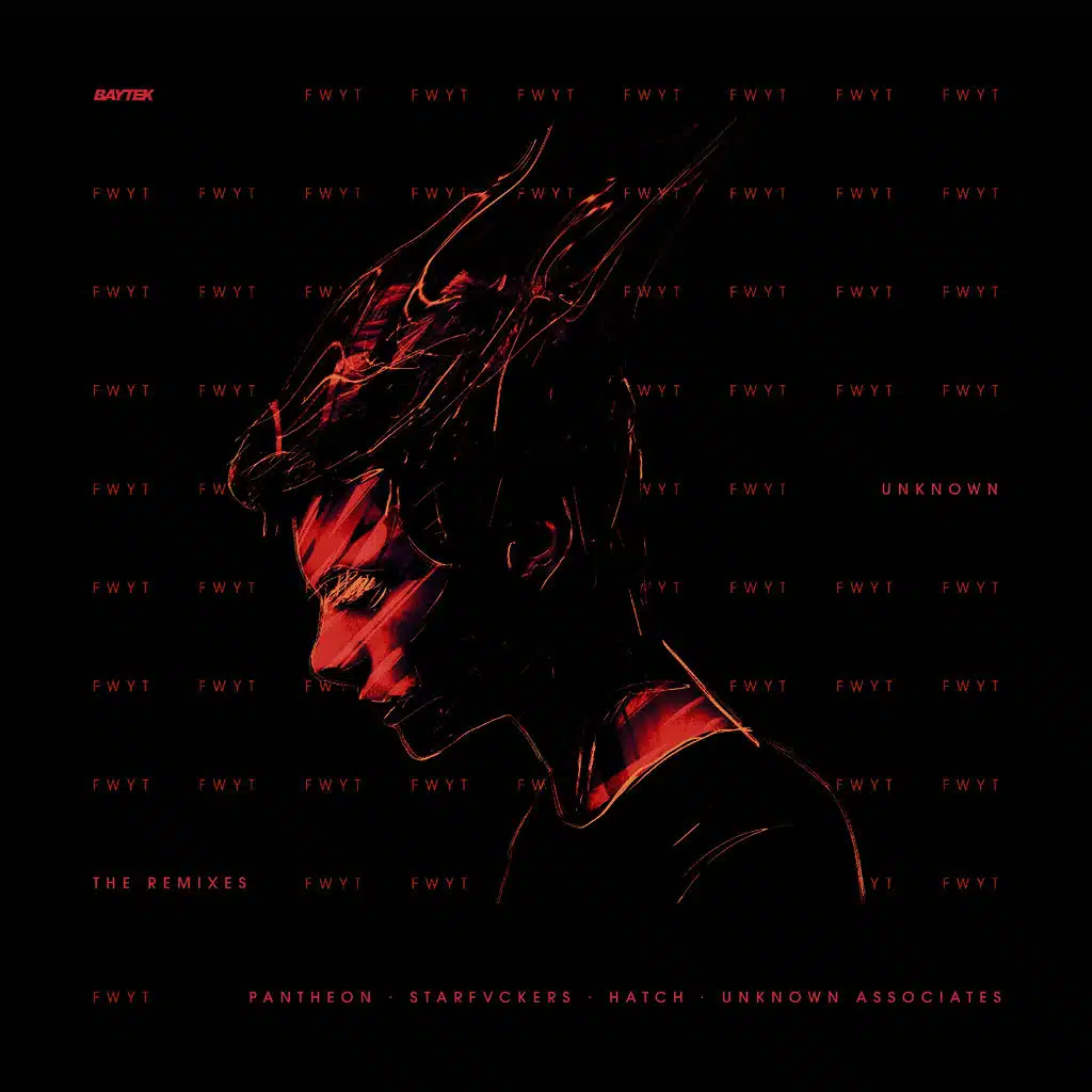 FWYT - The Remixes