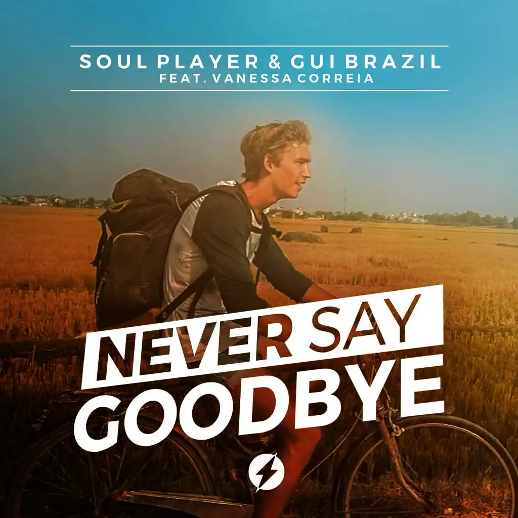 Never Say Goodbye (feat. Vanessa Correia)