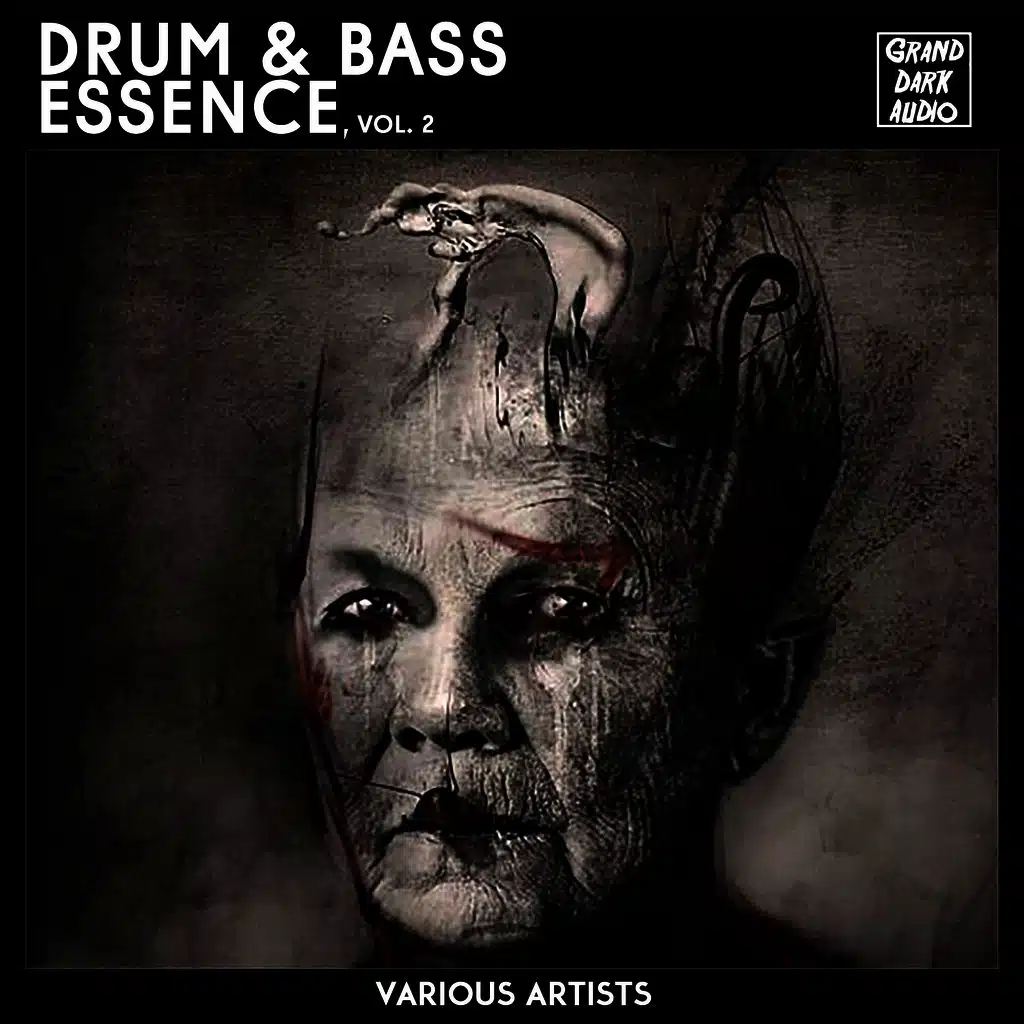 Drum & Bass Essence, Vol. 2