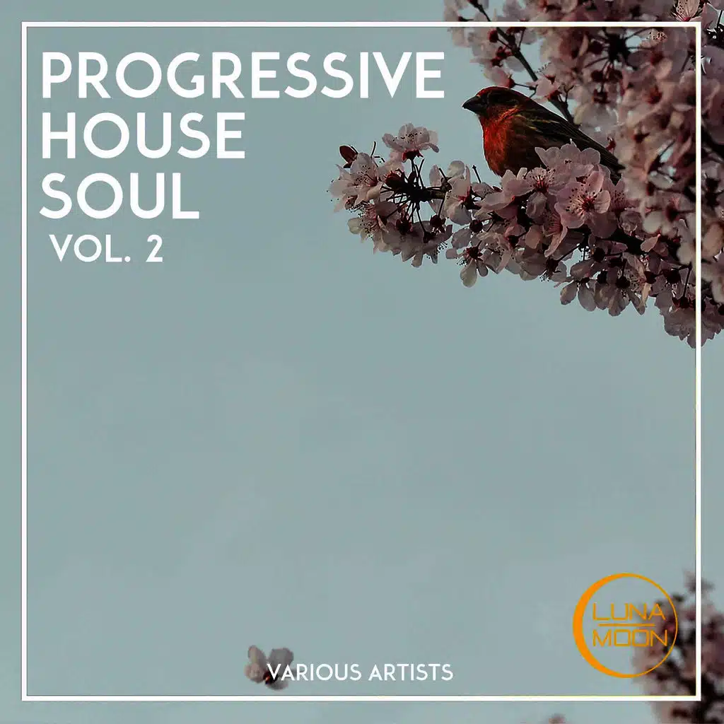 Progressive House Soul, Vol. 2