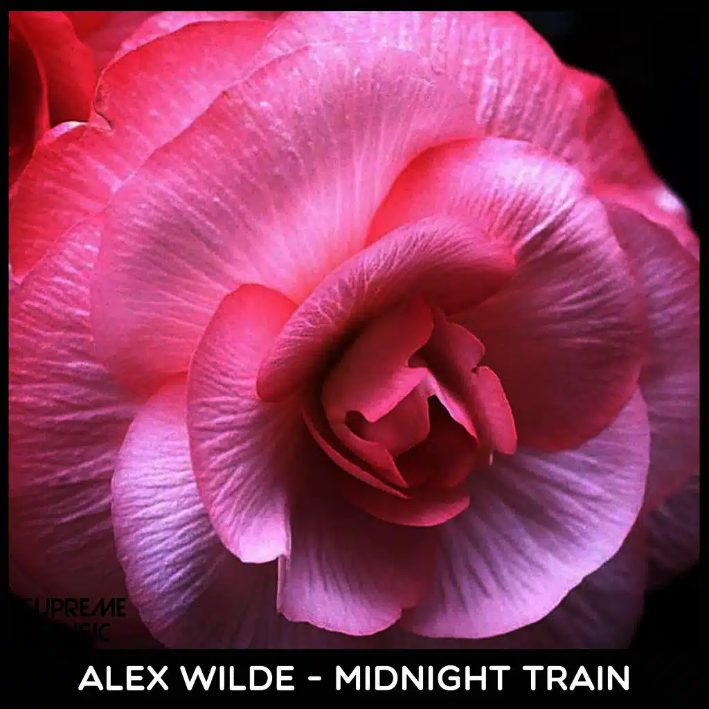 Midnight Train