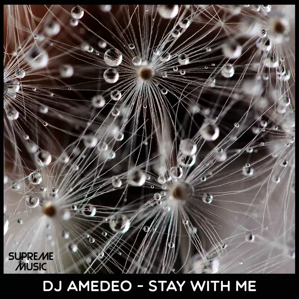Stay With Me