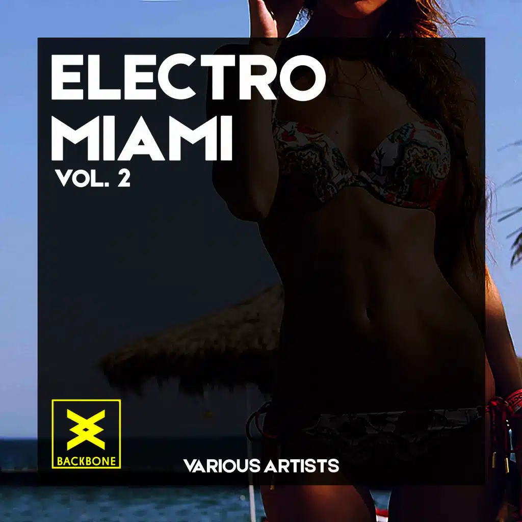 Electro Miami, Vol. 2