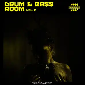 Drum & Bass Room, Vol. 2