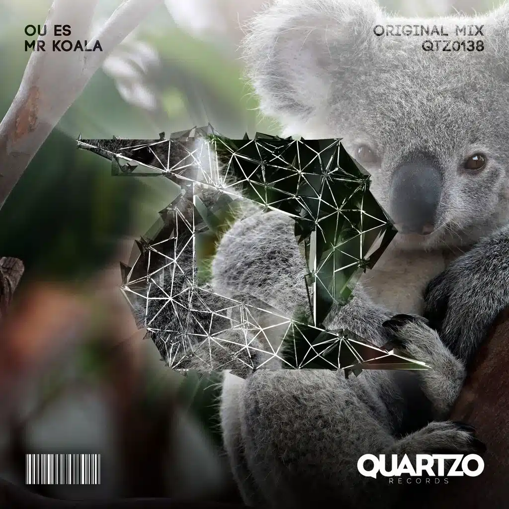 Mr Koala