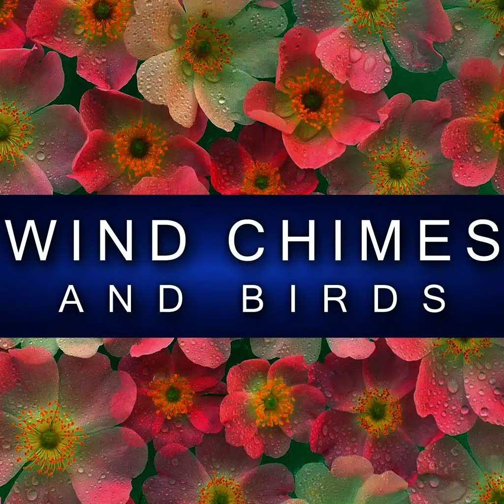 Wind Chimes and Birds