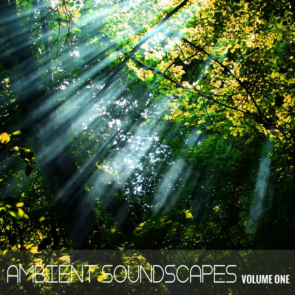 Ambient SoundScapes, Vol. 1