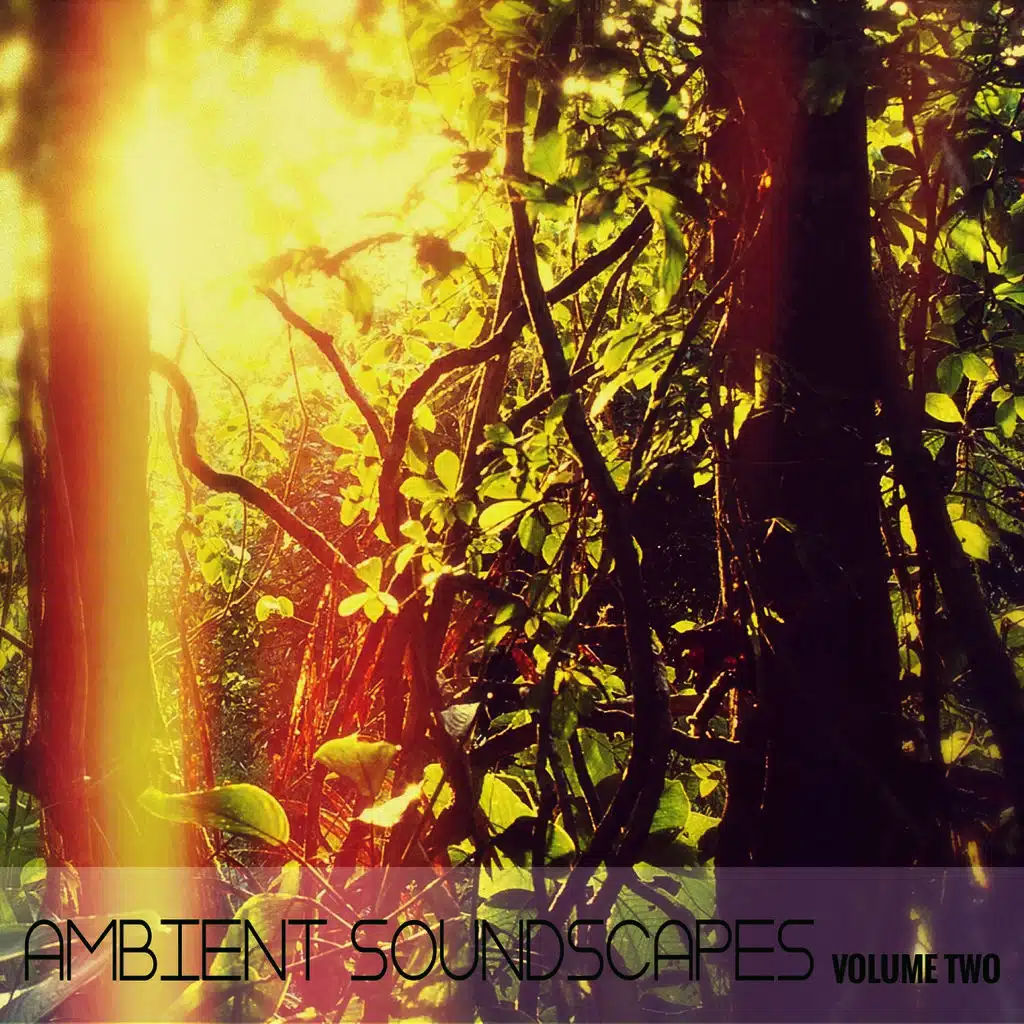 Ambient SoundScapes, Vol. 2