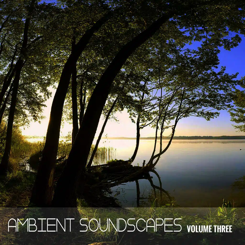 Ambient SoundScapes, Vol. 3