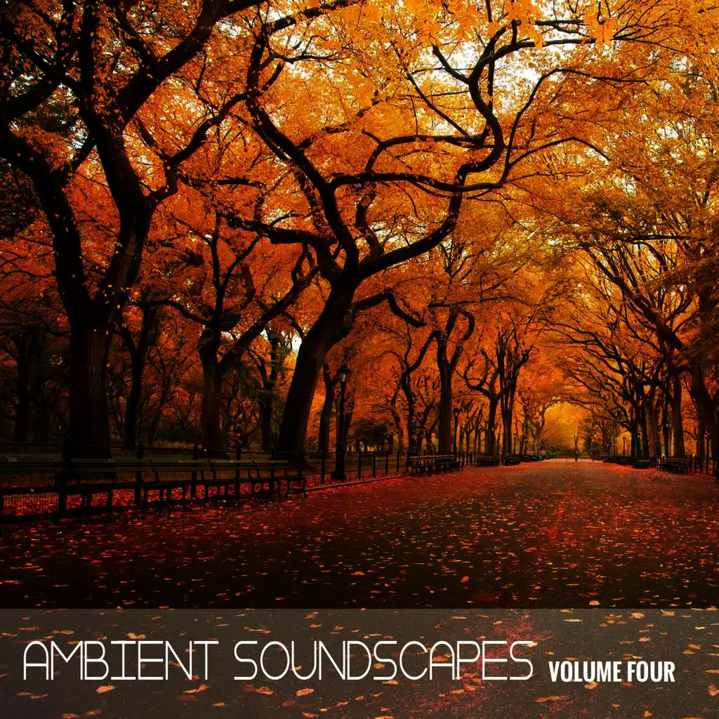 Ambient SoundScapes, Vol. 4