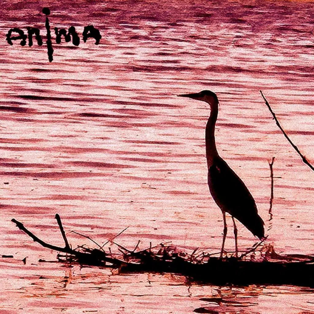 ANÌMA