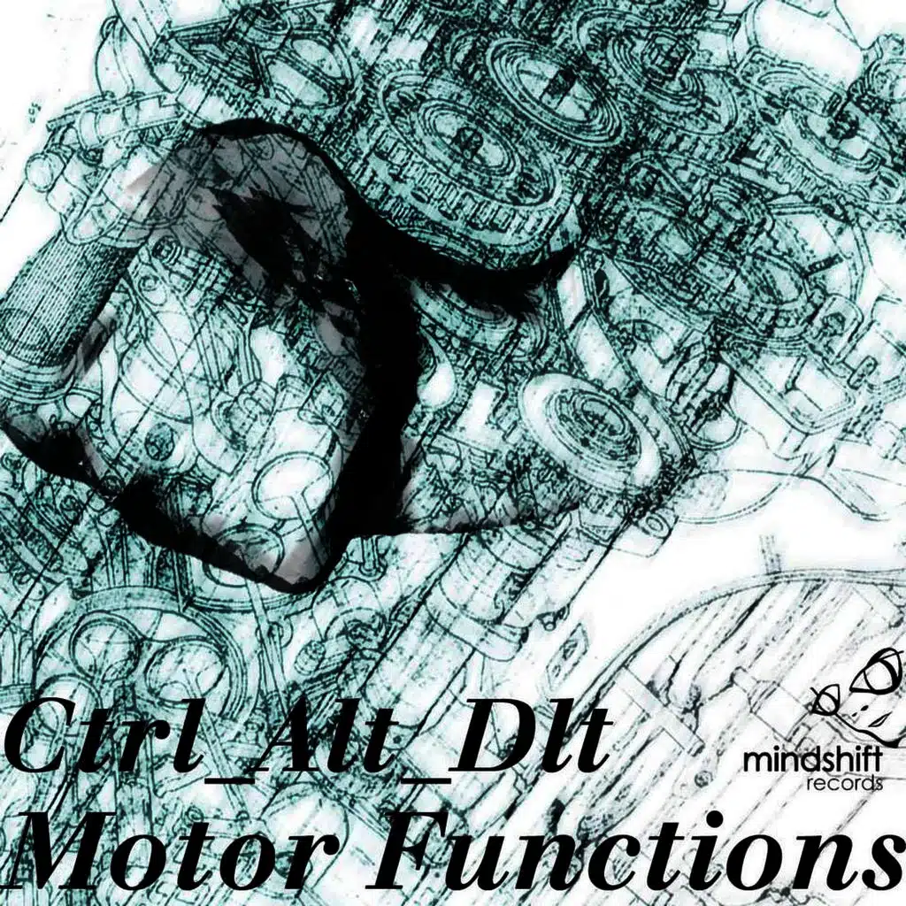 Motor Functions