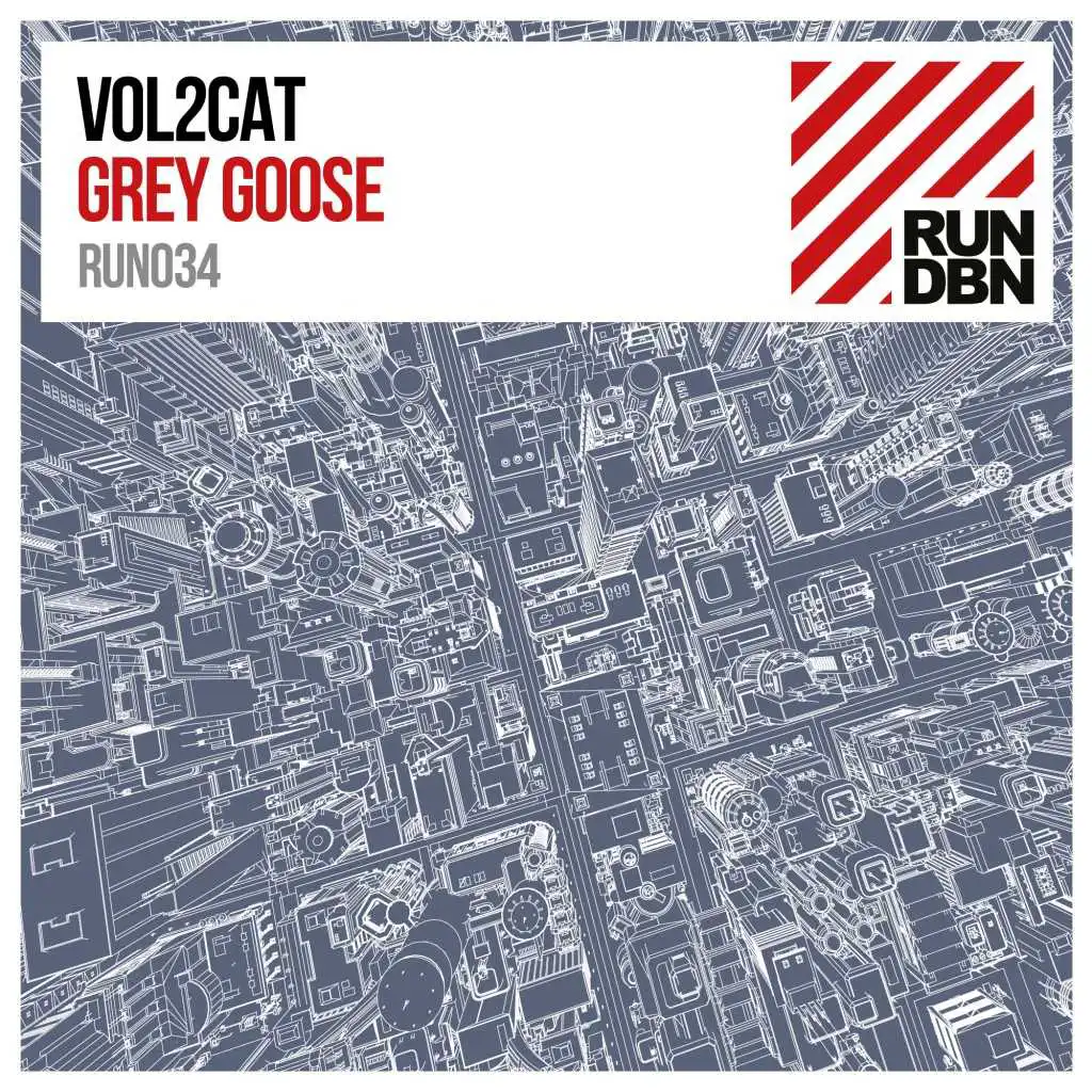 Grey Goose (Bastian Van Shield's Festival Mix)