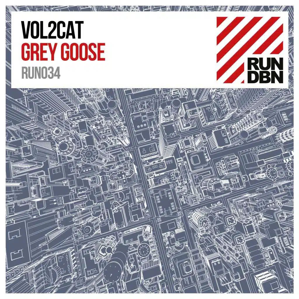Grey Goose (Bastian Van Shield's Festival Mix)