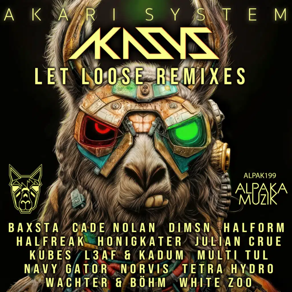 Let Loose (DIMSN Remix)