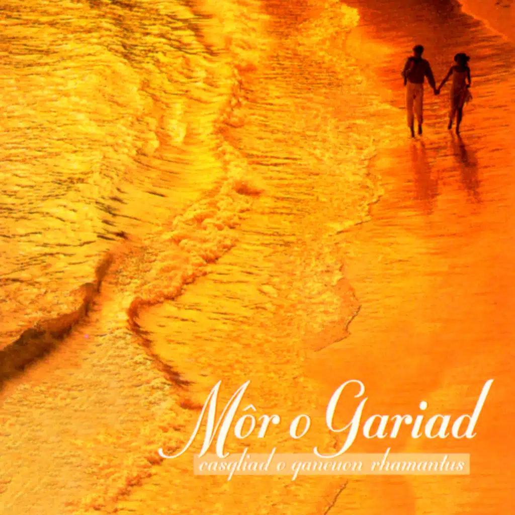 Môr o Gariad