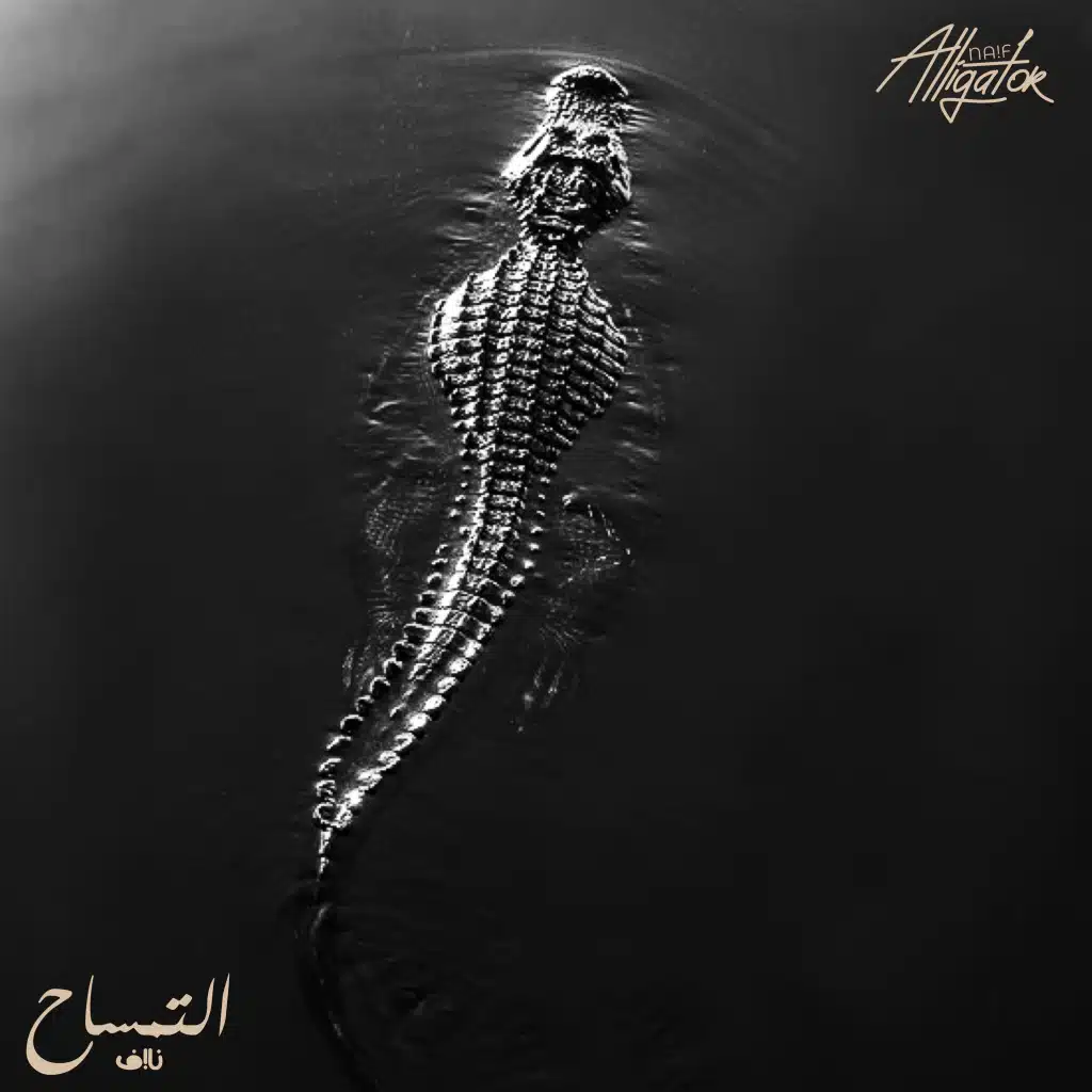 التمساح